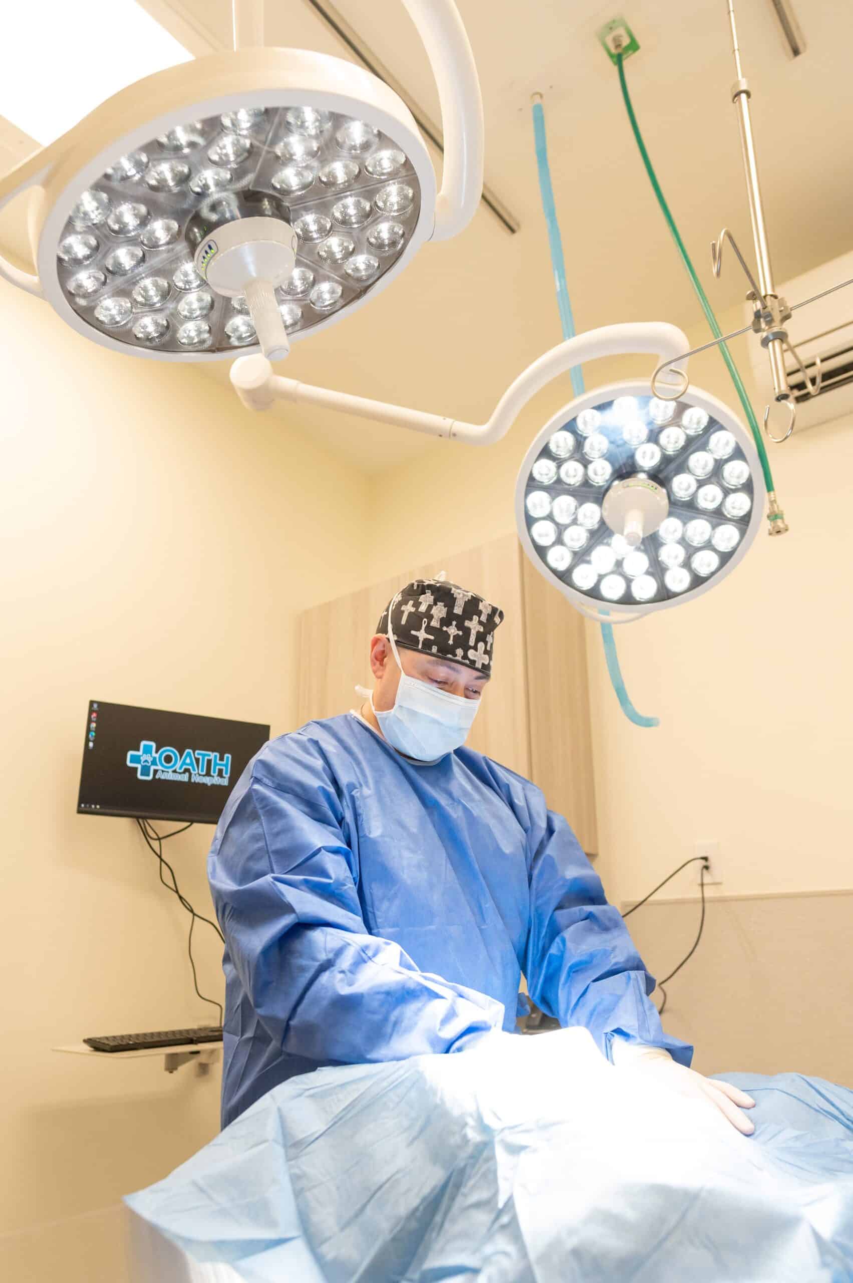 Oath Animal Hospital