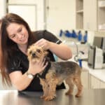 Oath Animal Hospital