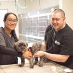 Oath Animal Hospital