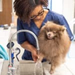 Oath Animal Hospital