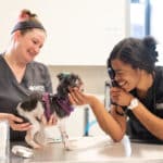Oath Animal Hospital