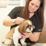 Oath Animal Hospital