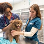 Oath Animal Hospital
