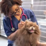 Oath Animal Hospital