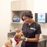 Oath Animal Hospital