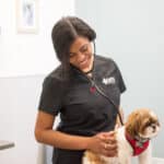 Oath Animal Hospital