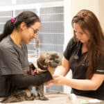 Oath Animal Hospital