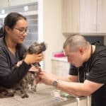 Oath Animal Hospital