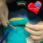 Brie-Bear’s Bear Repair Comes To Oath Animal Hospital