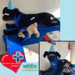 Brie-Bear’s Bear Repair Comes To Oath Animal Hospital