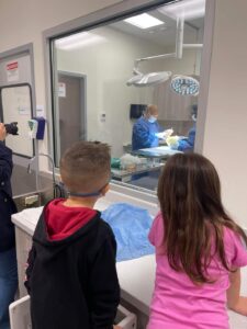Brie-Bear’s Bear Repair Comes To Oath Animal Hospital