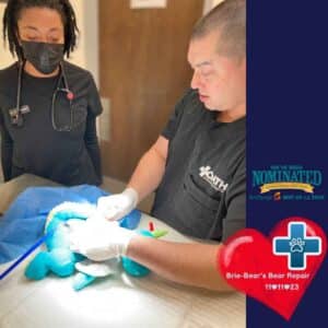 Brie-Bear’s Bear Repair Comes To Oath Animal Hospital
