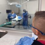 Brie-Bear’s Bear Repair Comes To Oath Animal Hospital