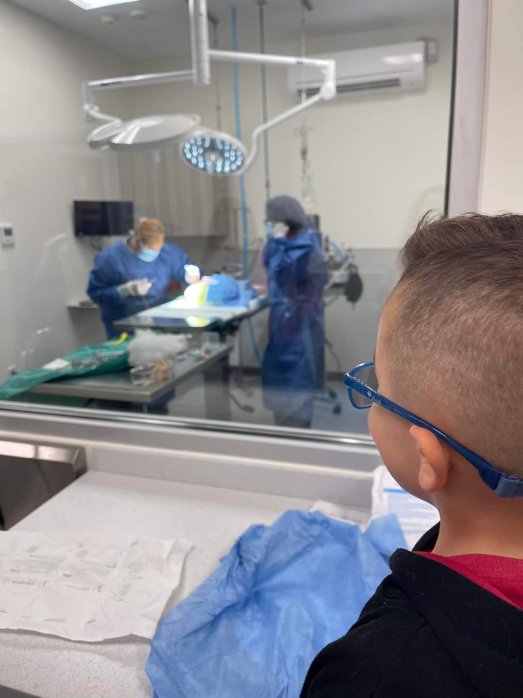 Brie-Bear’s Bear Repair Comes To Oath Animal Hospital