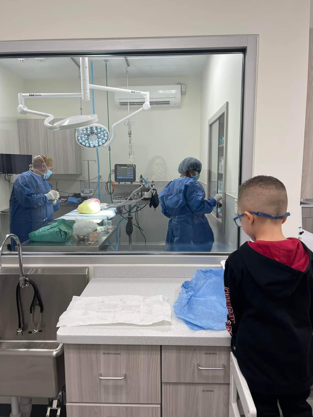 Brie-Bear’s Bear Repair Comes To Oath Animal Hospital