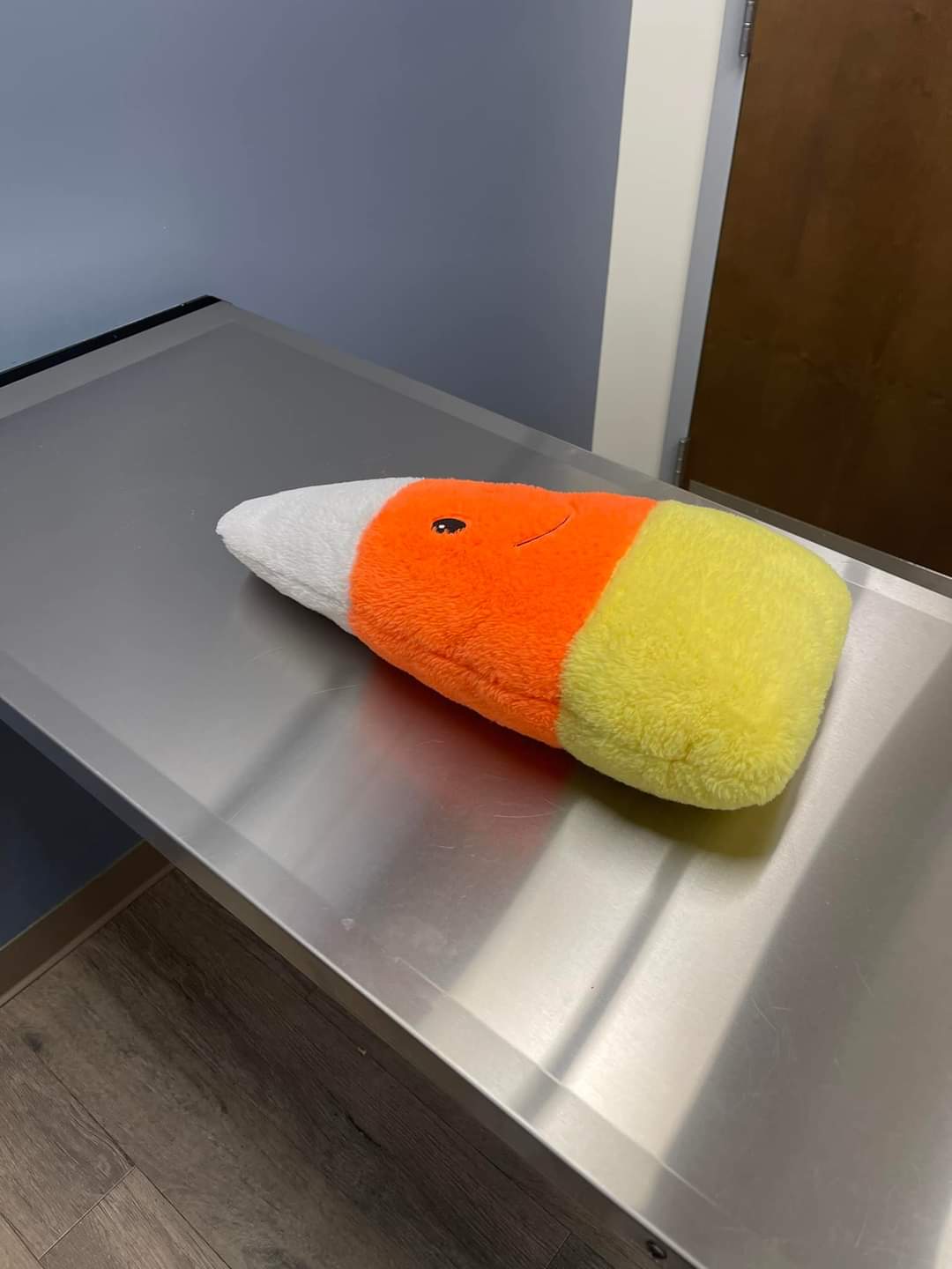 Brie-Bear’s Bear Repair Comes To Oath Animal Hospital