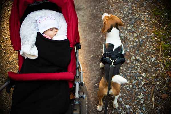 Ready Or Not, Here Comes Baby!