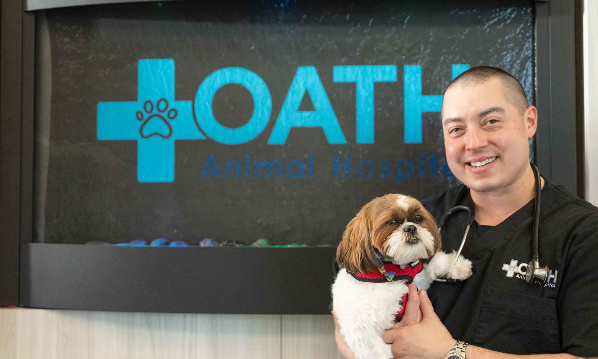 Celebrating Excellence: Dr. Mike Funk Named Best Veterinarian On Long Island For The 10th Time