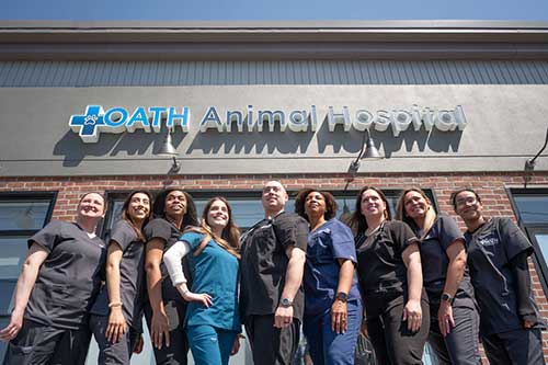 10th Year in a Row – Dr. Funk named Best of Long Island for 2024