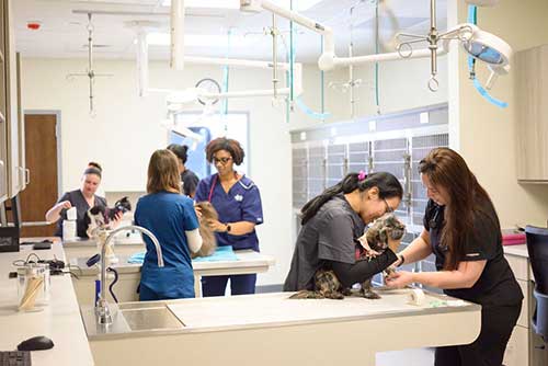 10th Year in a Row – Dr. Funk named Best of Long Island for 2024