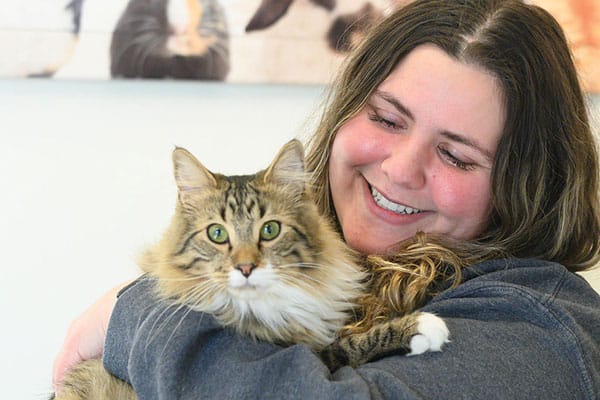 Oath Animal Hospital - Spay & Neuter Procedures Oath Animal Hospital - Spay & Neuter Procedures